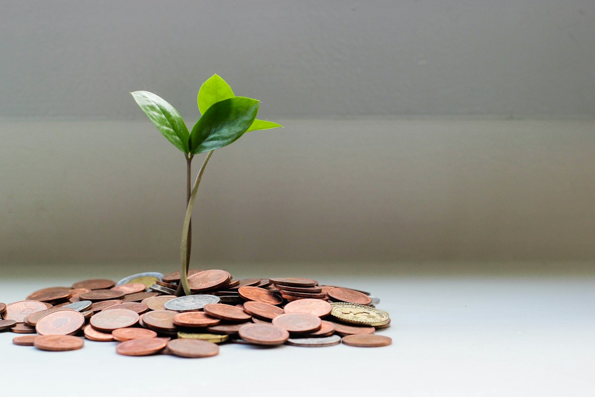 Building a Six-Month Emergency Fund in a High-Rate Market